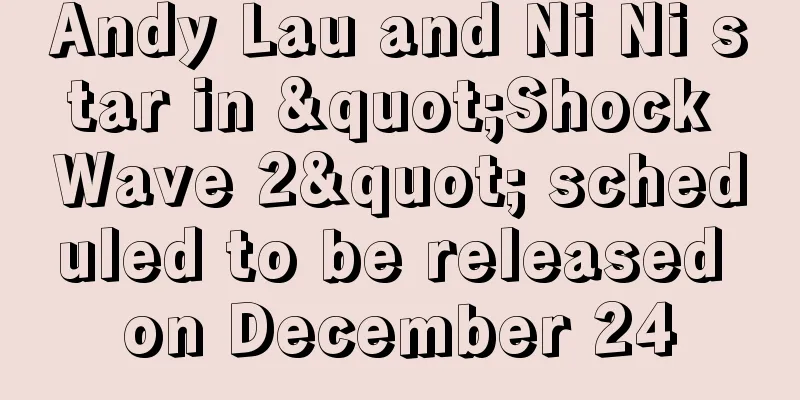 Andy Lau and Ni Ni star in "Shock Wave 2" scheduled to be released on December 24