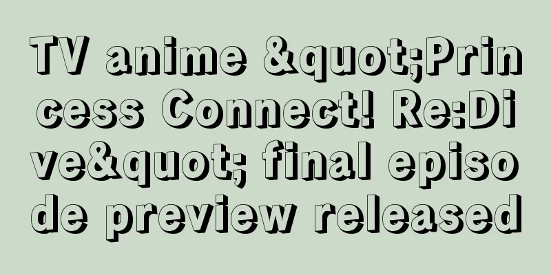 TV anime "Princess Connect! Re:Dive" final episode preview released