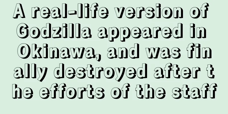 A real-life version of Godzilla appeared in Okinawa, and was finally destroyed after the efforts of the staff