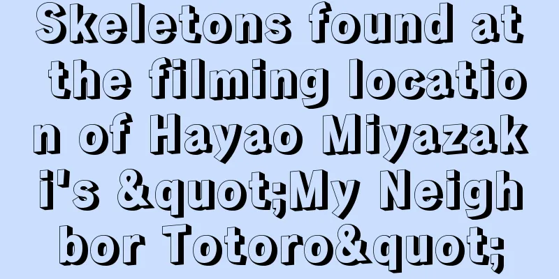 Skeletons found at the filming location of Hayao Miyazaki's "My Neighbor Totoro"