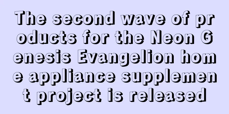 The second wave of products for the Neon Genesis Evangelion home appliance supplement project is released
