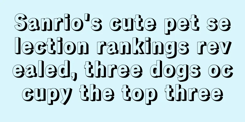 Sanrio's cute pet selection rankings revealed, three dogs occupy the top three