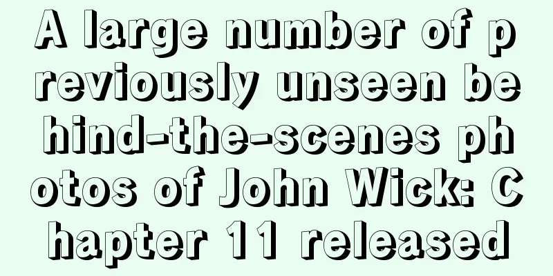 A large number of previously unseen behind-the-scenes photos of John Wick: Chapter 11 released