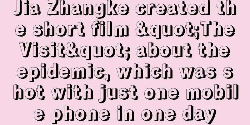 Jia Zhangke created the short film "The Visit" about the epidemic, which was shot with just one mobile phone in one day