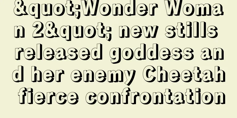"Wonder Woman 2" new stills released goddess and her enemy Cheetah fierce confrontation