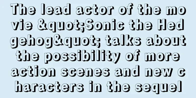 The lead actor of the movie "Sonic the Hedgehog" talks about the possibility of more action scenes and new characters in the sequel