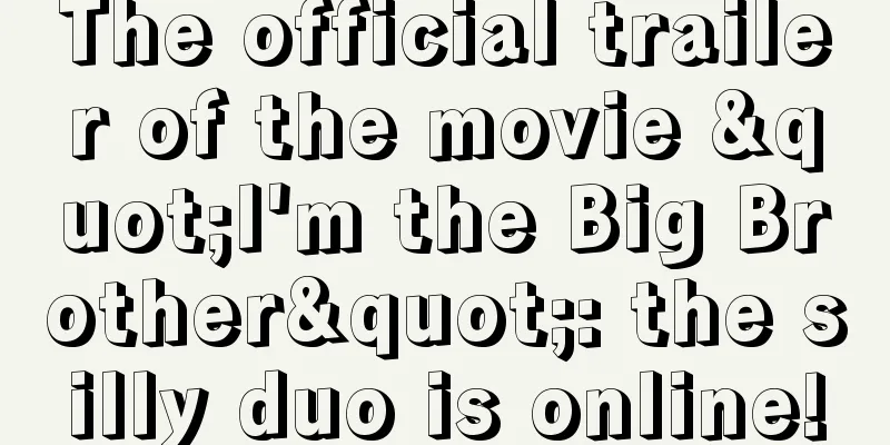 The official trailer of the movie "I'm the Big Brother": the silly duo is online!