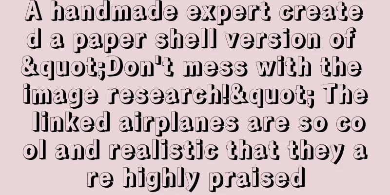 A handmade expert created a paper shell version of "Don't mess with the image research!" The linked airplanes are so cool and realistic that they are highly praised
