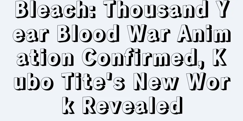 Bleach: Thousand Year Blood War Animation Confirmed, Kubo Tite's New Work Revealed