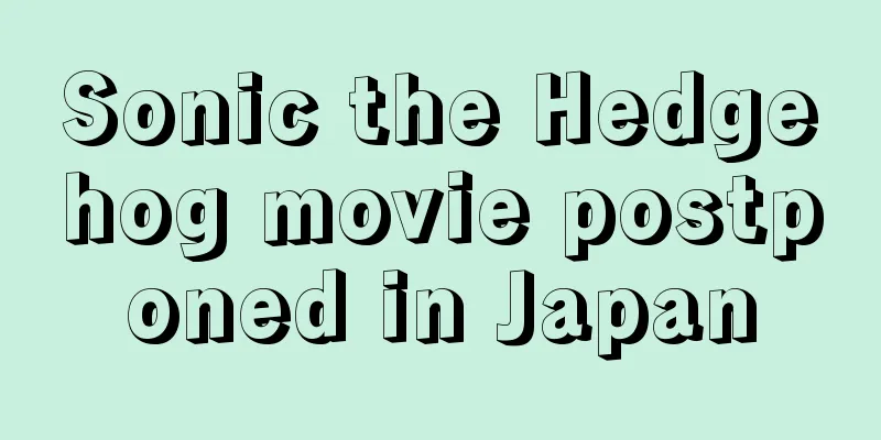 Sonic the Hedgehog movie postponed in Japan