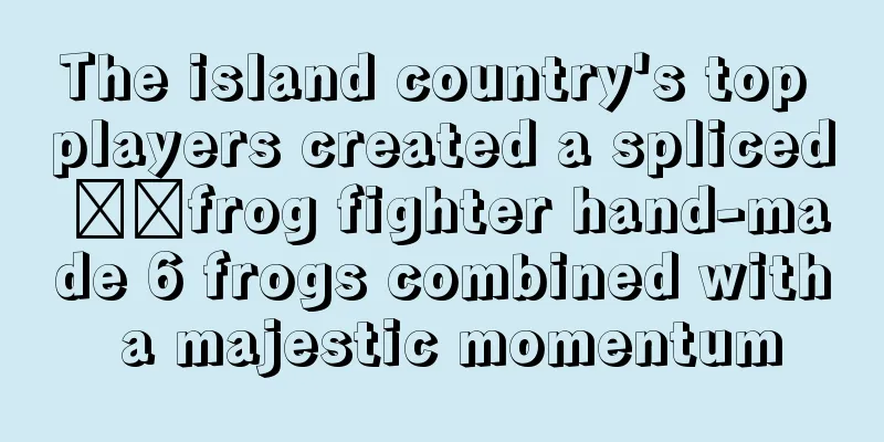 The island country's top players created a spliced ​​frog fighter hand-made 6 frogs combined with a majestic momentum