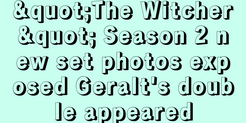"The Witcher" Season 2 new set photos exposed Geralt's double appeared