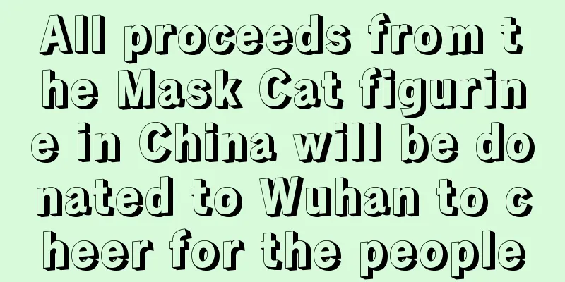 All proceeds from the Mask Cat figurine in China will be donated to Wuhan to cheer for the people