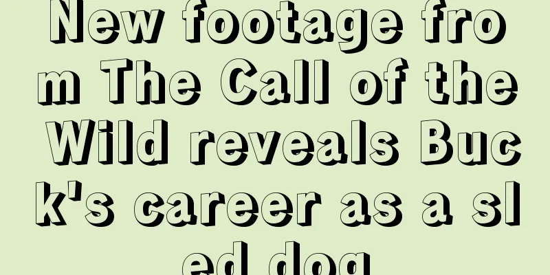 New footage from The Call of the Wild reveals Buck's career as a sled dog