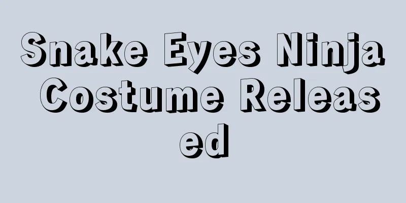 Snake Eyes Ninja Costume Released