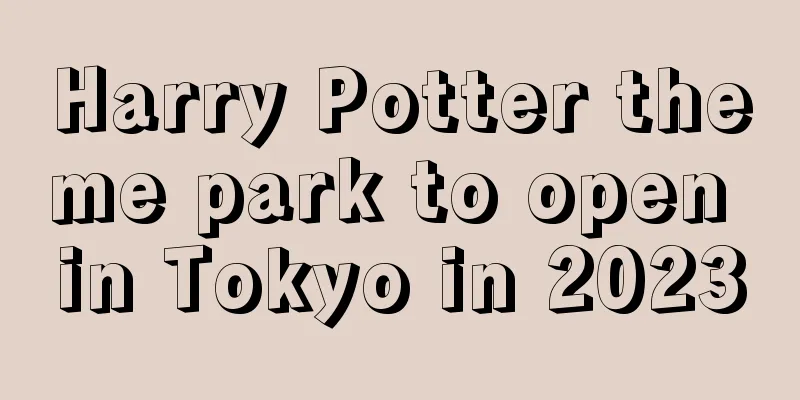 Harry Potter theme park to open in Tokyo in 2023