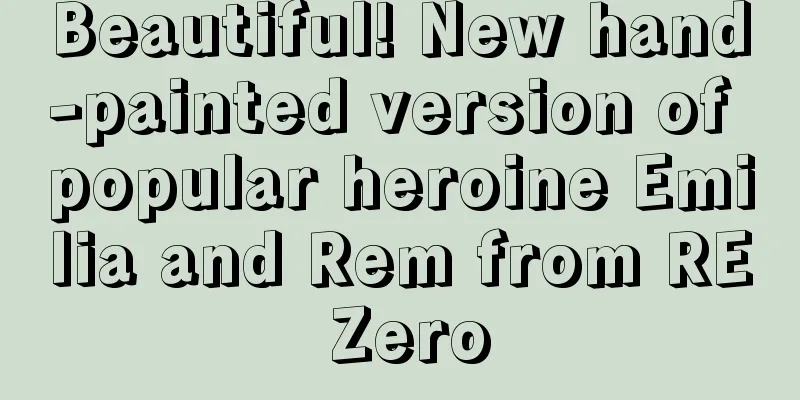Beautiful! New hand-painted version of popular heroine Emilia and Rem from RE Zero