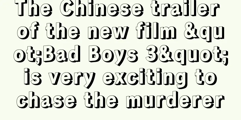 The Chinese trailer of the new film "Bad Boys 3" is very exciting to chase the murderer
