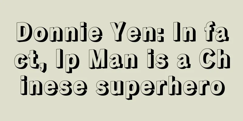 Donnie Yen: In fact, Ip Man is a Chinese superhero