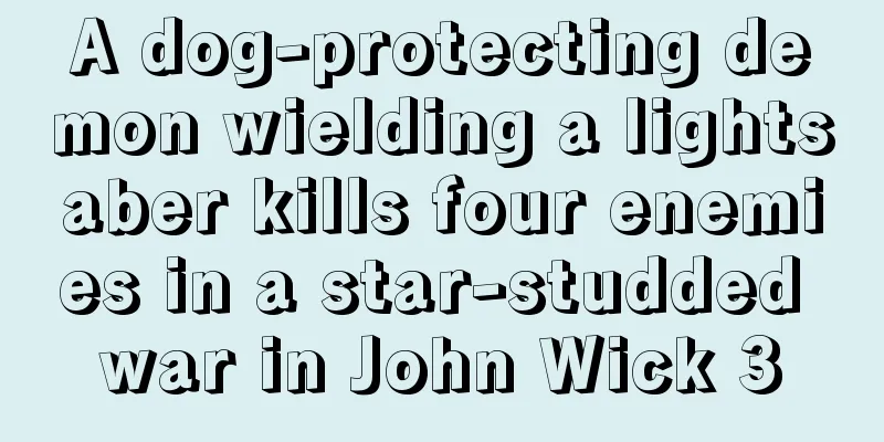 A dog-protecting demon wielding a lightsaber kills four enemies in a star-studded war in John Wick 3