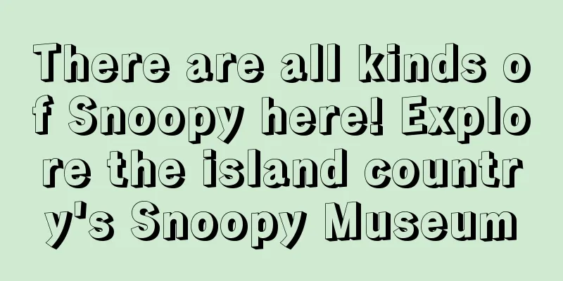 There are all kinds of Snoopy here! Explore the island country's Snoopy Museum