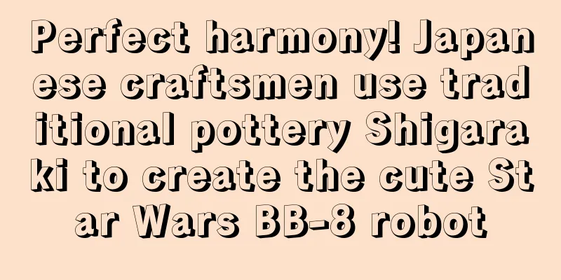 Perfect harmony! Japanese craftsmen use traditional pottery Shigaraki to create the cute Star Wars BB-8 robot