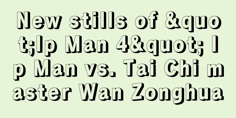 New stills of "Ip Man 4" Ip Man vs. Tai Chi master Wan Zonghua