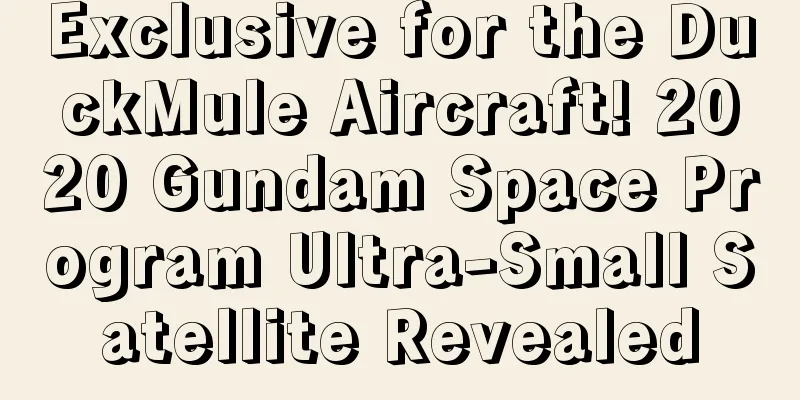 Exclusive for the DuckMule Aircraft! 2020 Gundam Space Program Ultra-Small Satellite Revealed