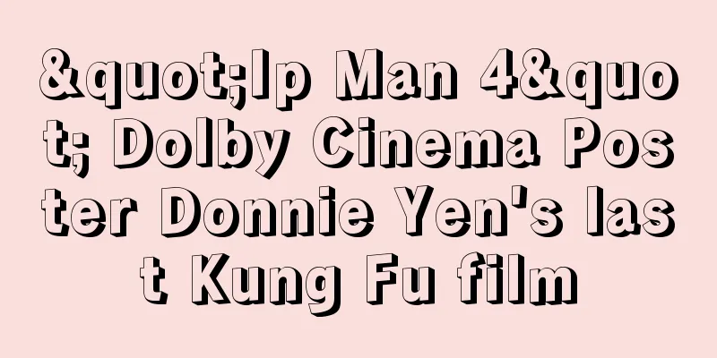 "Ip Man 4" Dolby Cinema Poster Donnie Yen's last Kung Fu film