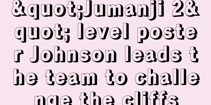 "Jumanji 2" level poster Johnson leads the team to challenge the cliffs