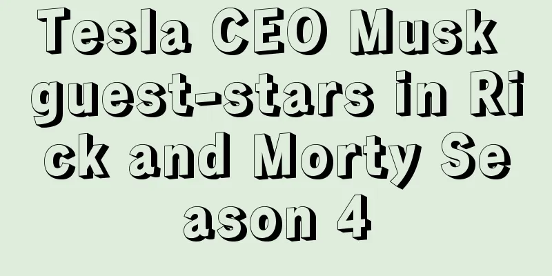 Tesla CEO Musk guest-stars in Rick and Morty Season 4
