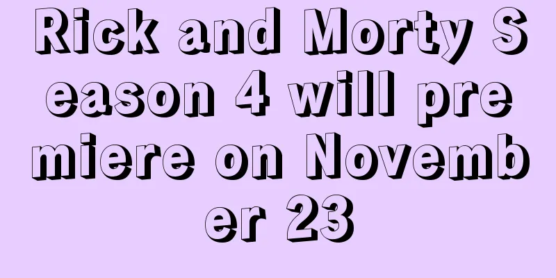 Rick and Morty Season 4 will premiere on November 23