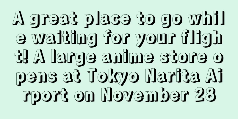 A great place to go while waiting for your flight! A large anime store opens at Tokyo Narita Airport on November 28