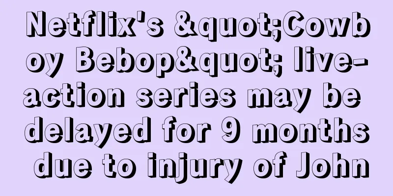 Netflix's "Cowboy Bebop" live-action series may be delayed for 9 months due to injury of John