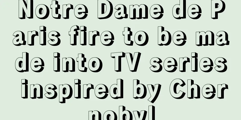 Notre Dame de Paris fire to be made into TV series inspired by Chernobyl