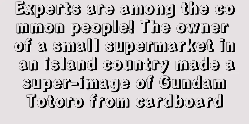 Experts are among the common people! The owner of a small supermarket in an island country made a super-image of Gundam Totoro from cardboard
