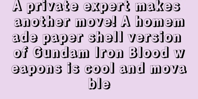 A private expert makes another move! A homemade paper shell version of Gundam Iron Blood weapons is cool and movable