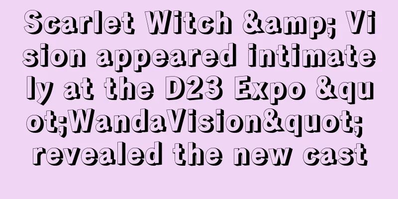 Scarlet Witch & Vision appeared intimately at the D23 Expo "WandaVision" revealed the new cast