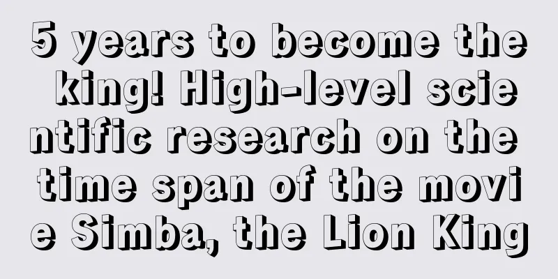 5 years to become the king! High-level scientific research on the time span of the movie Simba, the Lion King