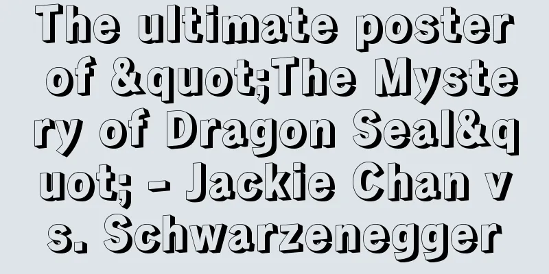 The ultimate poster of "The Mystery of Dragon Seal" - Jackie Chan vs. Schwarzenegger