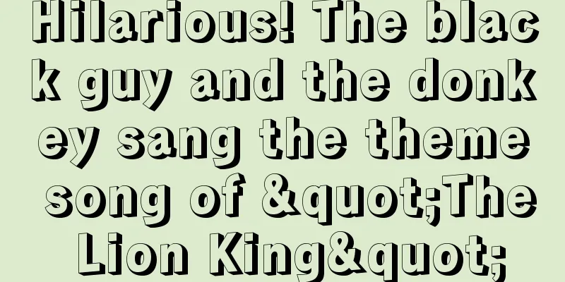 Hilarious! The black guy and the donkey sang the theme song of "The Lion King"