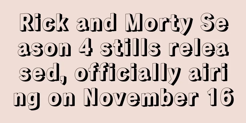 Rick and Morty Season 4 stills released, officially airing on November 16