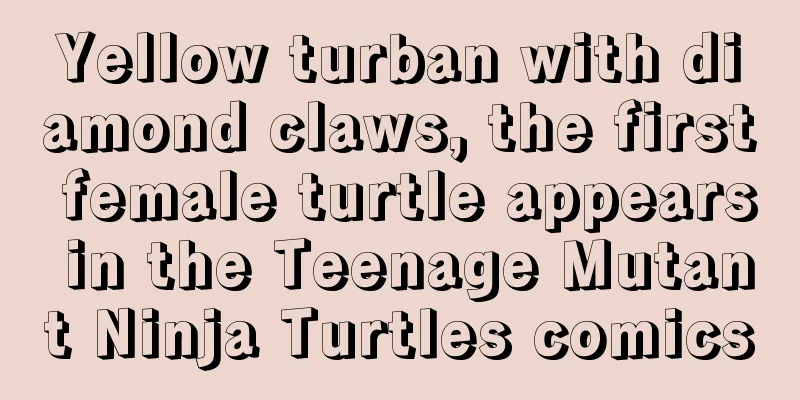 Yellow turban with diamond claws, the first female turtle appears in the Teenage Mutant Ninja Turtles comics
