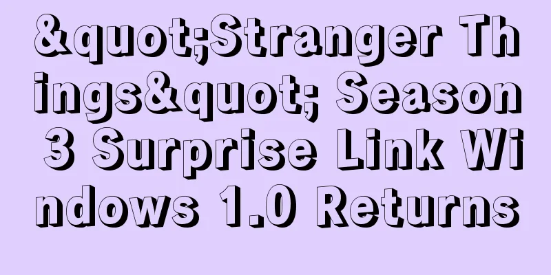 "Stranger Things" Season 3 Surprise Link Windows 1.0 Returns