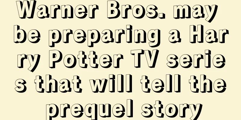 Warner Bros. may be preparing a Harry Potter TV series that will tell the prequel story