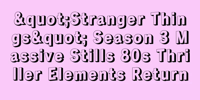 "Stranger Things" Season 3 Massive Stills 80s Thriller Elements Return