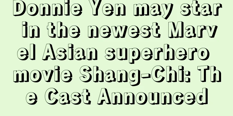 Donnie Yen may star in the newest Marvel Asian superhero movie Shang-Chi: The Cast Announced