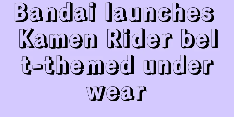 Bandai launches Kamen Rider belt-themed underwear