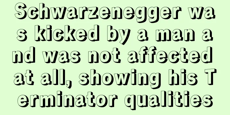 Schwarzenegger was kicked by a man and was not affected at all, showing his Terminator qualities