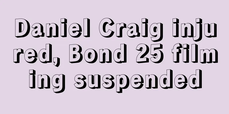 Daniel Craig injured, Bond 25 filming suspended